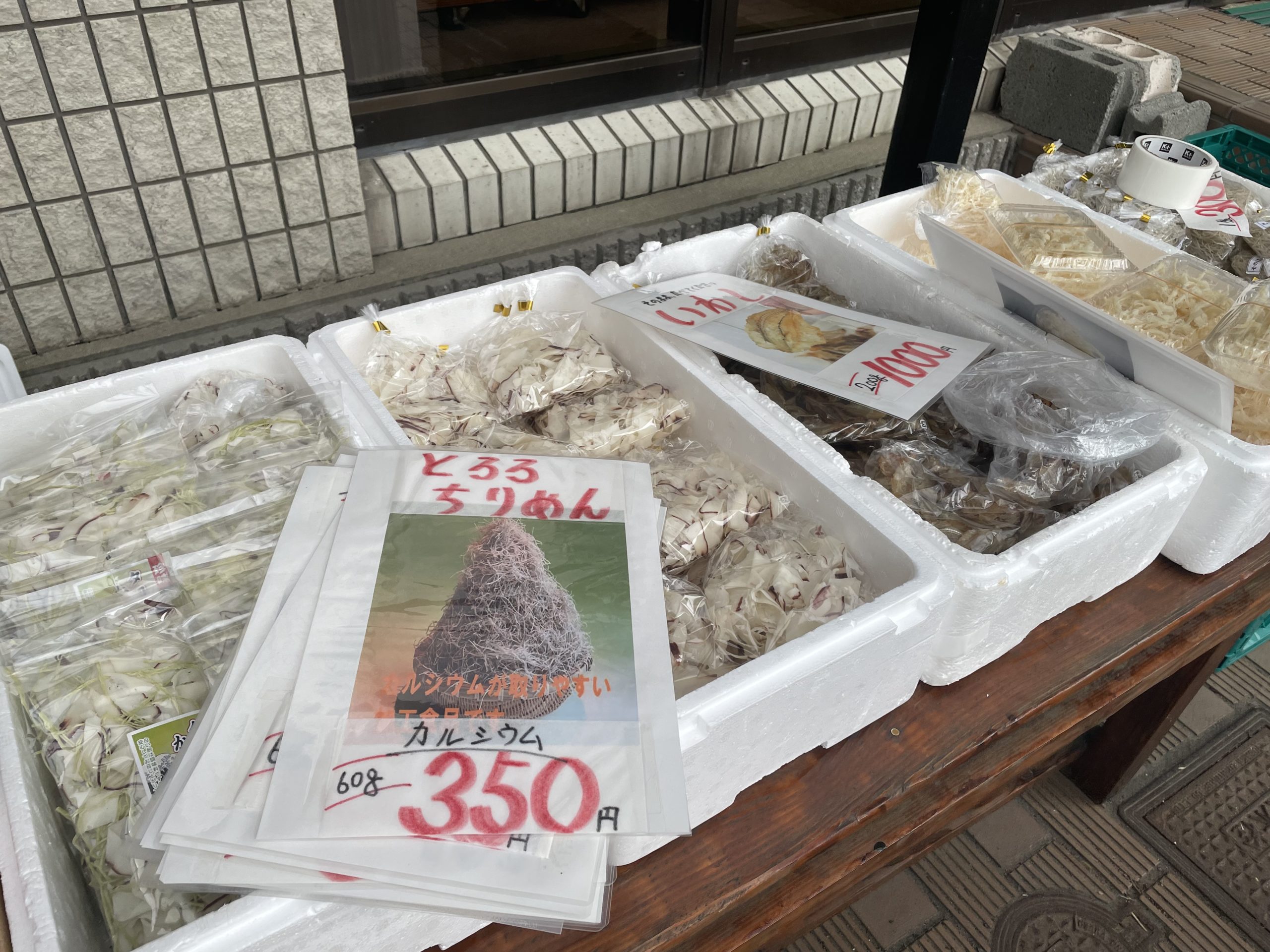 新鮮なタコ