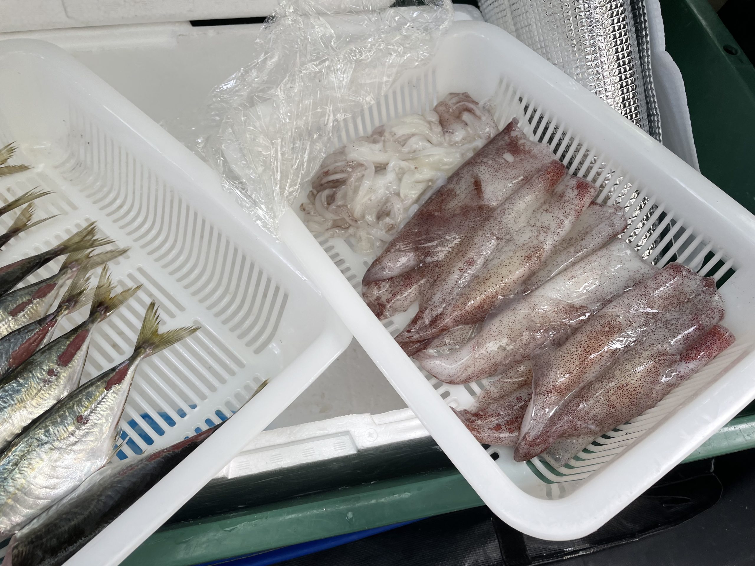 新鮮な魚介類