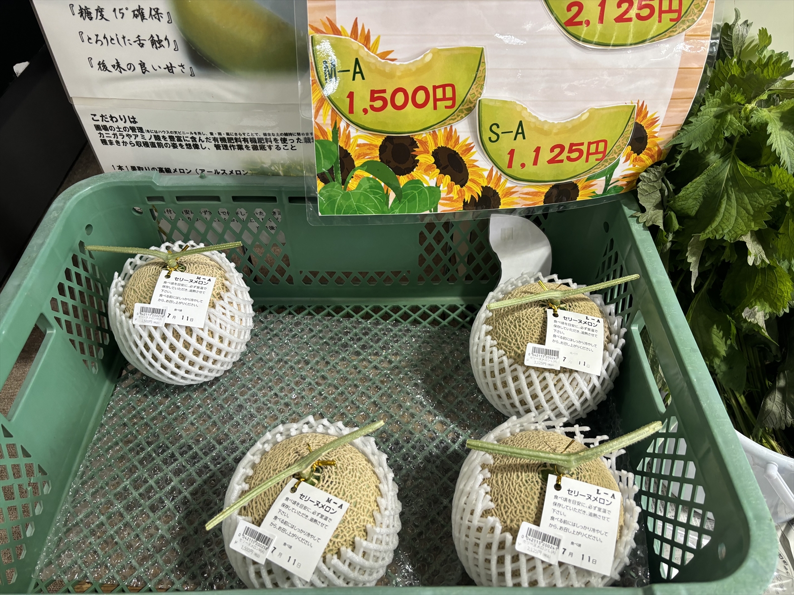 夏の農産物
