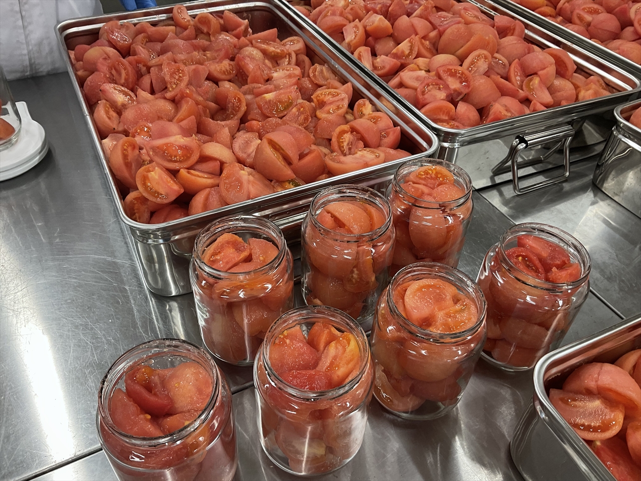 トマトの水煮缶詰 - 皮むき作業