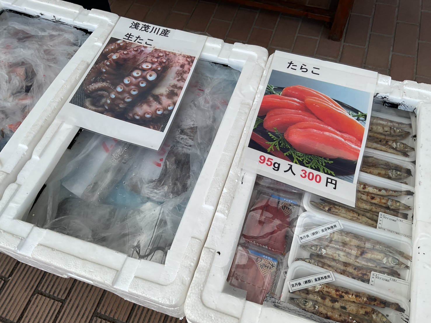 新鮮な海産物