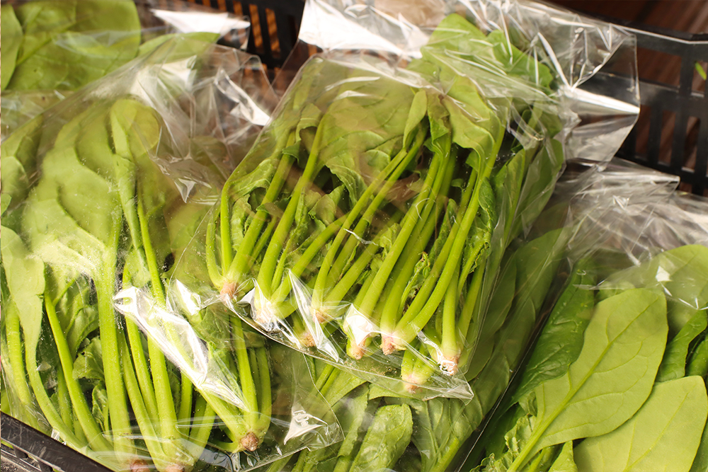新鮮野菜